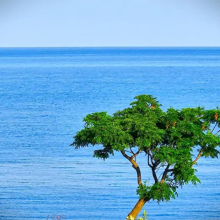 Gr 4* אלי טרמה